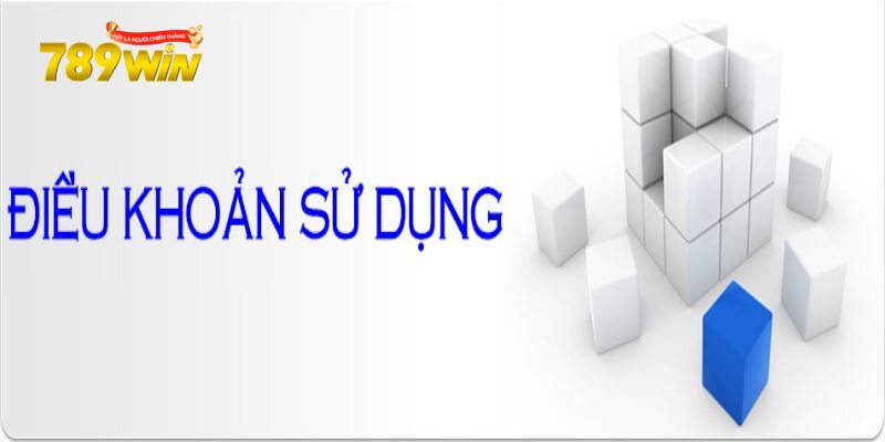 Điều khoản sử dụng khuyến mãi